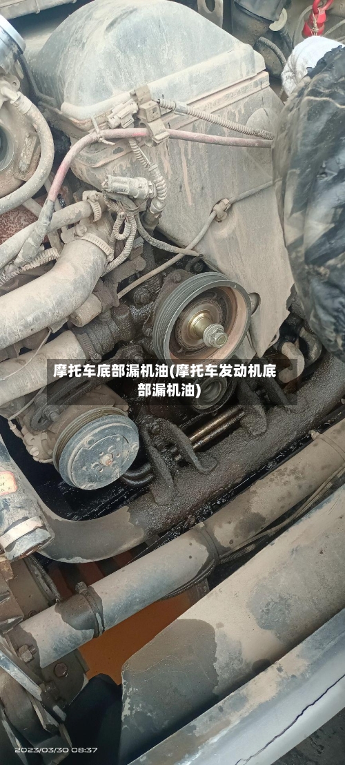 摩托车底部漏机油(摩托车发动机底部漏机油)-第2张图片