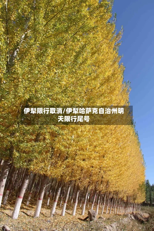 伊犁限行取消/伊犁哈萨克自治州明天限行尾号-第2张图片