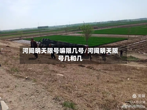 河间明天限号嘛限几号/河间明天限号几和几-第2张图片