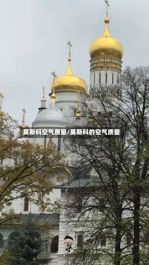 莫斯科空气质量/莫斯科的空气质量