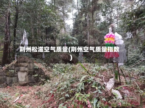 荆州松滋空气质量(荆州空气质量指数)