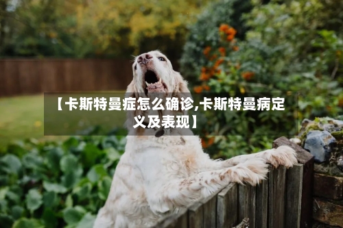 【卡斯特曼症怎么确诊,卡斯特曼病定义及表现】