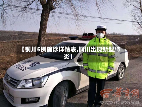【铜川5例确诊详情表,铜川出现新型肺炎】