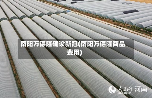 南阳万德隆确诊新冠(南阳万德隆商品费用)-第3张图片