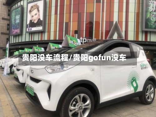 贵阳没车流程/贵阳gofun没车-第2张图片