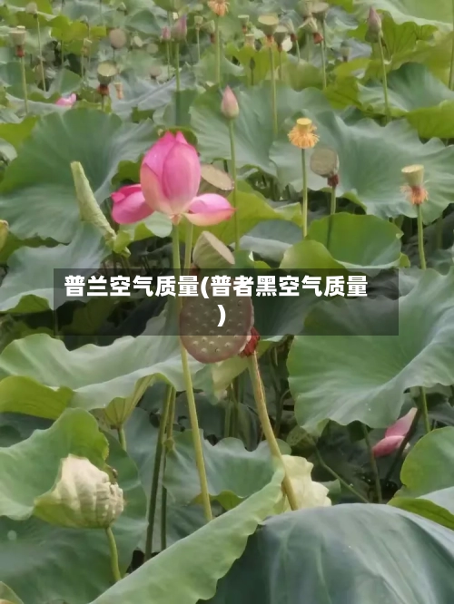 普兰空气质量(普者黑空气质量)-第2张图片