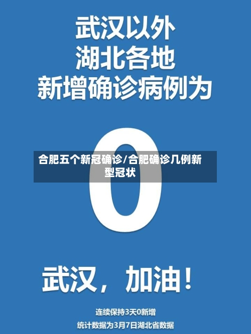 合肥五个新冠确诊/合肥确诊几例新型冠状-第2张图片
