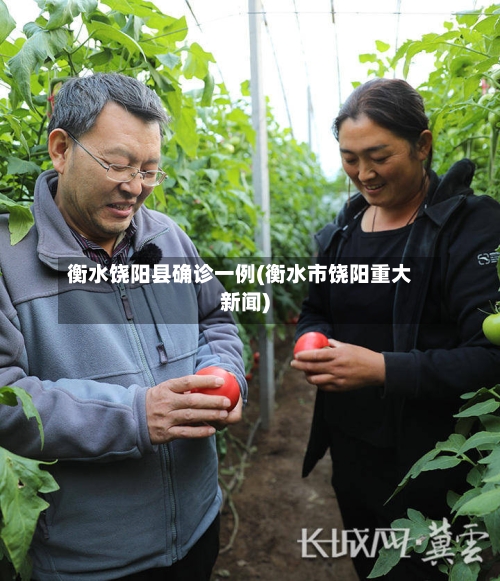 衡水饶阳县确诊一例(衡水市饶阳重大新闻)-第2张图片