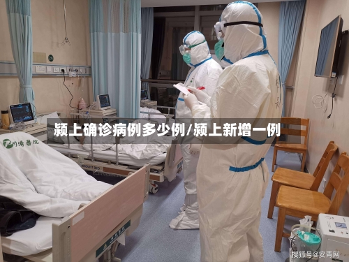颍上确诊病例多少例/颍上新增一例
