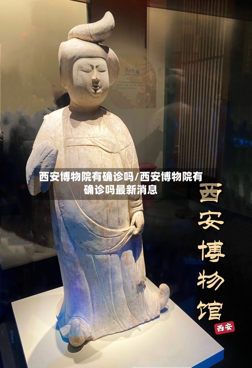 西安博物院有确诊吗/西安博物院有确诊吗最新消息-第2张图片