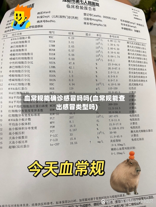 血常规能确诊感冒吗吗(血常规能查出感冒类型吗)-第2张图片