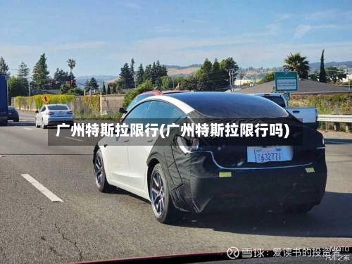 广州特斯拉限行(广州特斯拉限行吗)-第2张图片