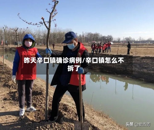 昨天辛口镇确诊病例/辛口镇怎么不拆了