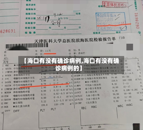 【海口有没有确诊病例,海口有没有确诊病例的】-第2张图片