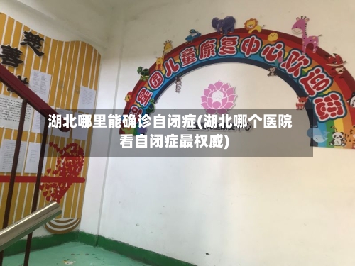 湖北哪里能确诊自闭症(湖北哪个医院看自闭症最权威)-第3张图片