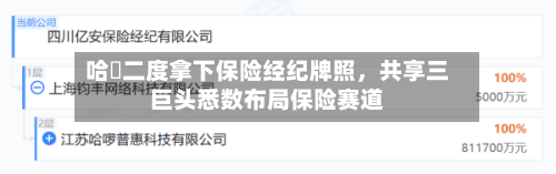 哈啰二度拿下保险经纪牌照，共享三巨头悉数布局保险赛道-第2张图片