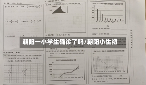 朝阳一小学生确诊了吗/朝阳小生初-第2张图片