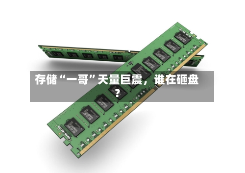 存储“一哥”天量巨震，谁在砸盘？-第3张图片