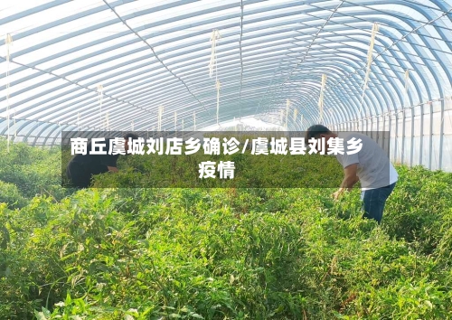 商丘虞城刘店乡确诊/虞城县刘集乡疫情-第3张图片