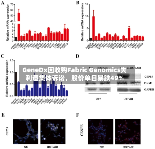 GeneDx因收购Fabric Genomics失利遭集体诉讼，股价单日暴跌49%-第2张图片