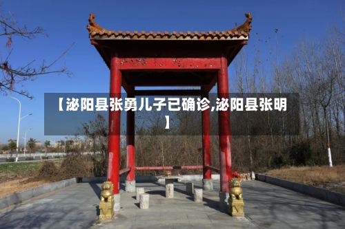 【泌阳县张勇儿子已确诊,泌阳县张明】-第2张图片
