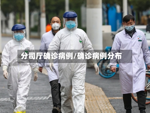 分司厅确诊病例/确诊病例分布