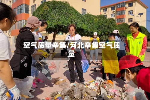 空气质量辛集/河北辛集空气质量