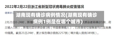 湖南现有确诊病例情况(湖南现有确诊病例1例是在哪个城市)