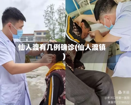 仙人渡有几例确诊(仙人渡镇)-第3张图片
