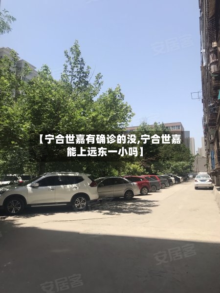 【宁合世嘉有确诊的没,宁合世嘉能上远东一小吗】-第1张图片