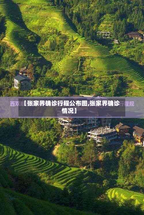 【张家界确诊行程公布图,张家界确诊情况】