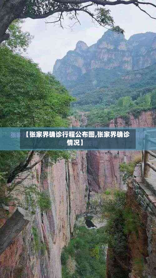【张家界确诊行程公布图,张家界确诊情况】-第3张图片