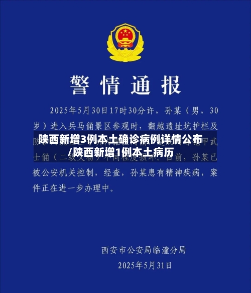 陕西新增3例本土确诊病例详情公布/陕西新增1例本土病历