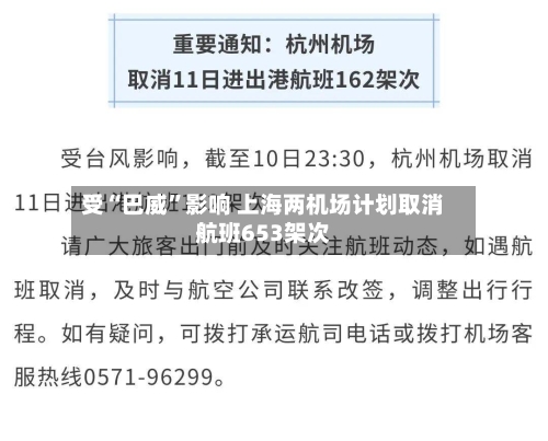 受“巴威”影响 上海两机场计划取消航班653架次-第2张图片