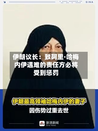 伊朗议长:致阿里·哈梅内伊遇难的责任方必将受到惩罚-第3张图片