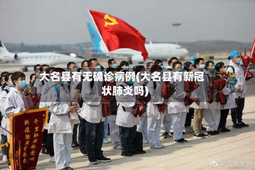 大名县有无确诊病例(大名县有新冠状肺炎吗)