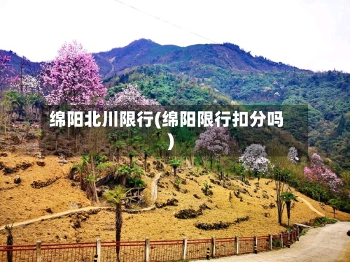 绵阳北川限行(绵阳限行扣分吗)-第2张图片