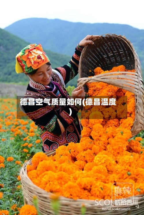 德昌空气质量如何(德昌温度)