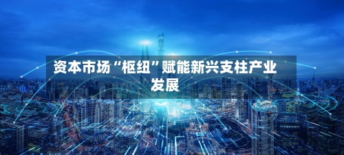 资本市场“枢纽”赋能新兴支柱产业发展-第2张图片