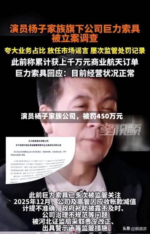 演员杨子家族公司	，被罚450万元-第3张图片
