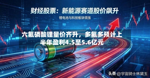 六氟磷酸锂量价齐升	，多氟多预计上半年盈利4.5至5.6亿元-第2张图片