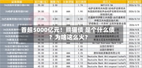首超5000亿元!熊猫债 是个什么债?为啥这么火?-第2张图片