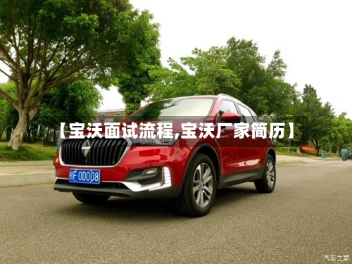 【宝沃面试流程,宝沃厂家简历】-第3张图片