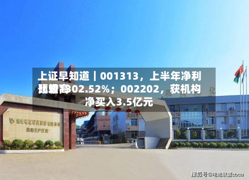 上证早知道｜001313，上半年净利比较高预增1302.52%；002202，获机构净买入3.5亿元-第3张图片