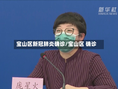 宝山区新冠肺炎确诊/宝山区 确诊