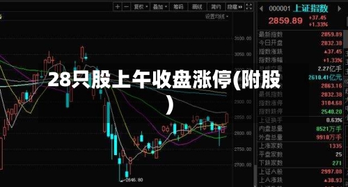 28只股上午收盘涨停(附股)-第3张图片