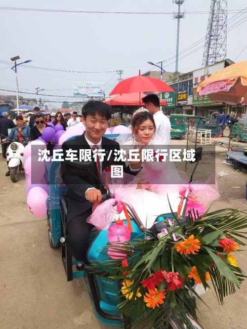 沈丘车限行/沈丘限行区域图-第2张图片