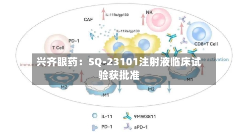 兴齐眼药:SQ-23101注射液临床试验获批准-第2张图片