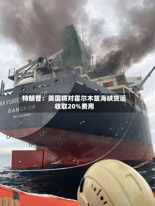 特朗普：美国将对霍尔木兹海峡货运收取20%费用-第2张图片