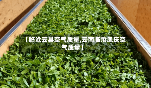 【临沧云县空气质量,云南临沧凤庆空气质量】-第2张图片